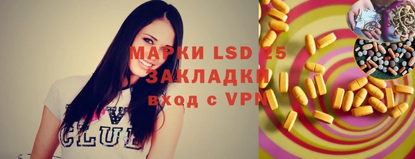 индика Нягань