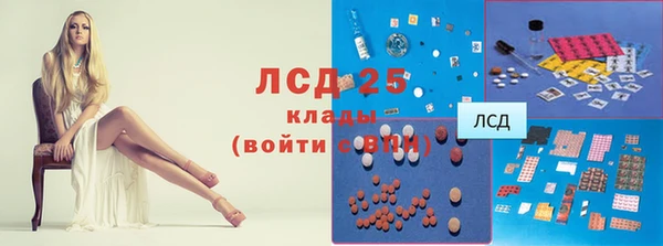 круглые Пересвет