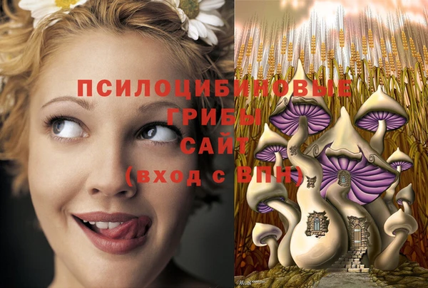гашиш Осинники