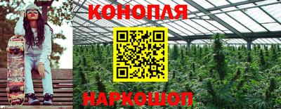 метамфетамин Гай