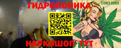 твердый Бийск