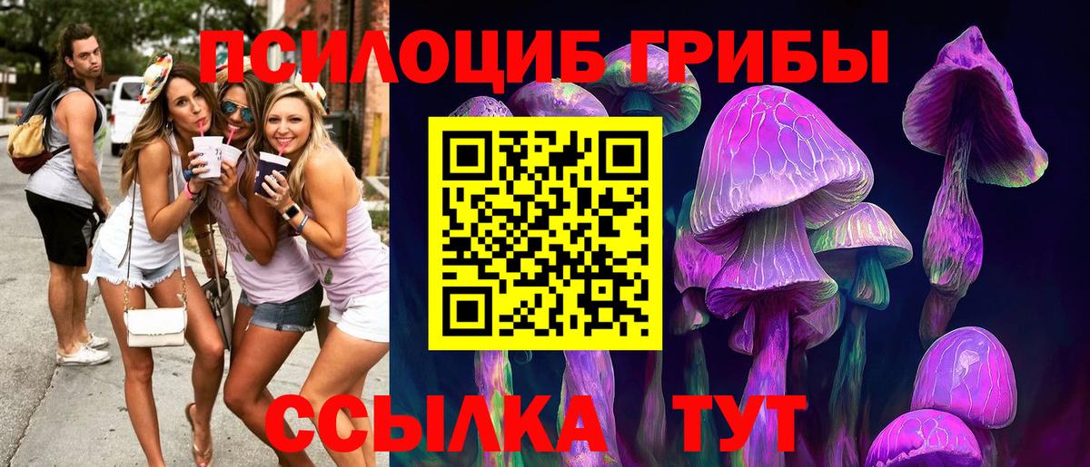 Псилоцибиновые грибы MAGIC MUSHROOMS Приморско-Ахтарск
